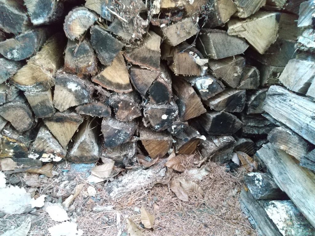 土の上の薪