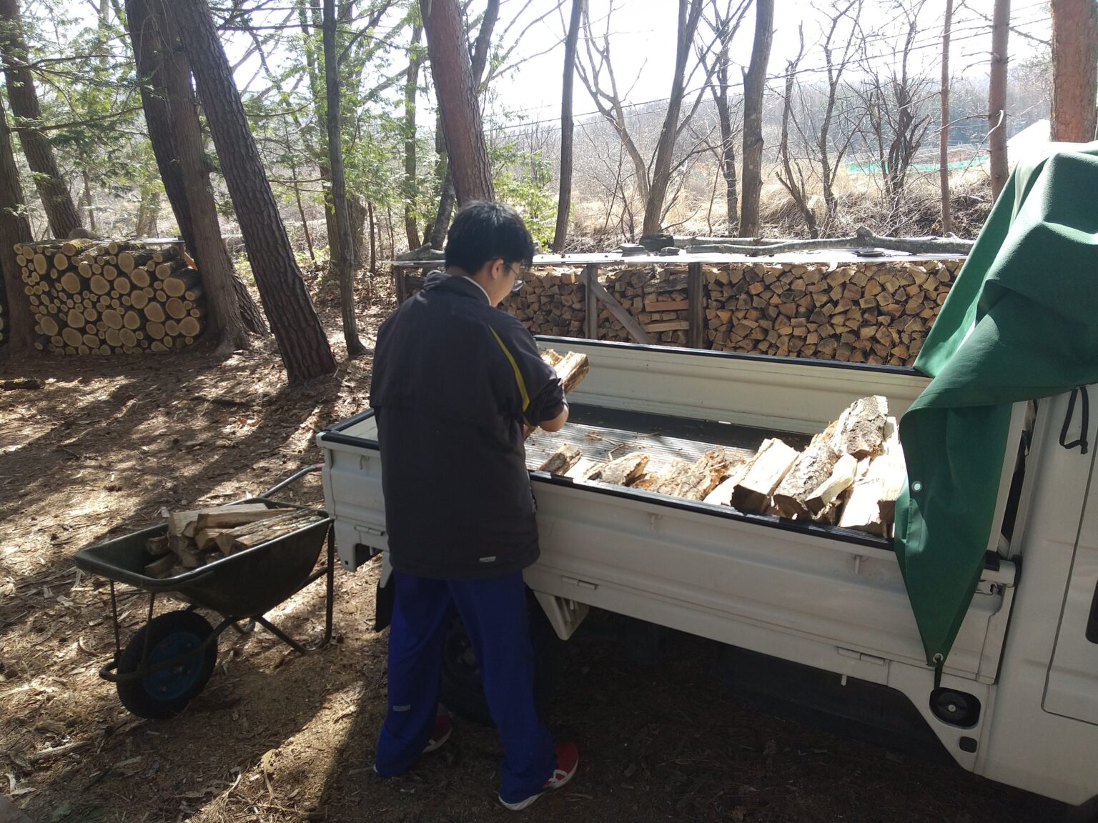 500kg 薪 配達 引き取り 福井県！ バーベキュー・調理用品